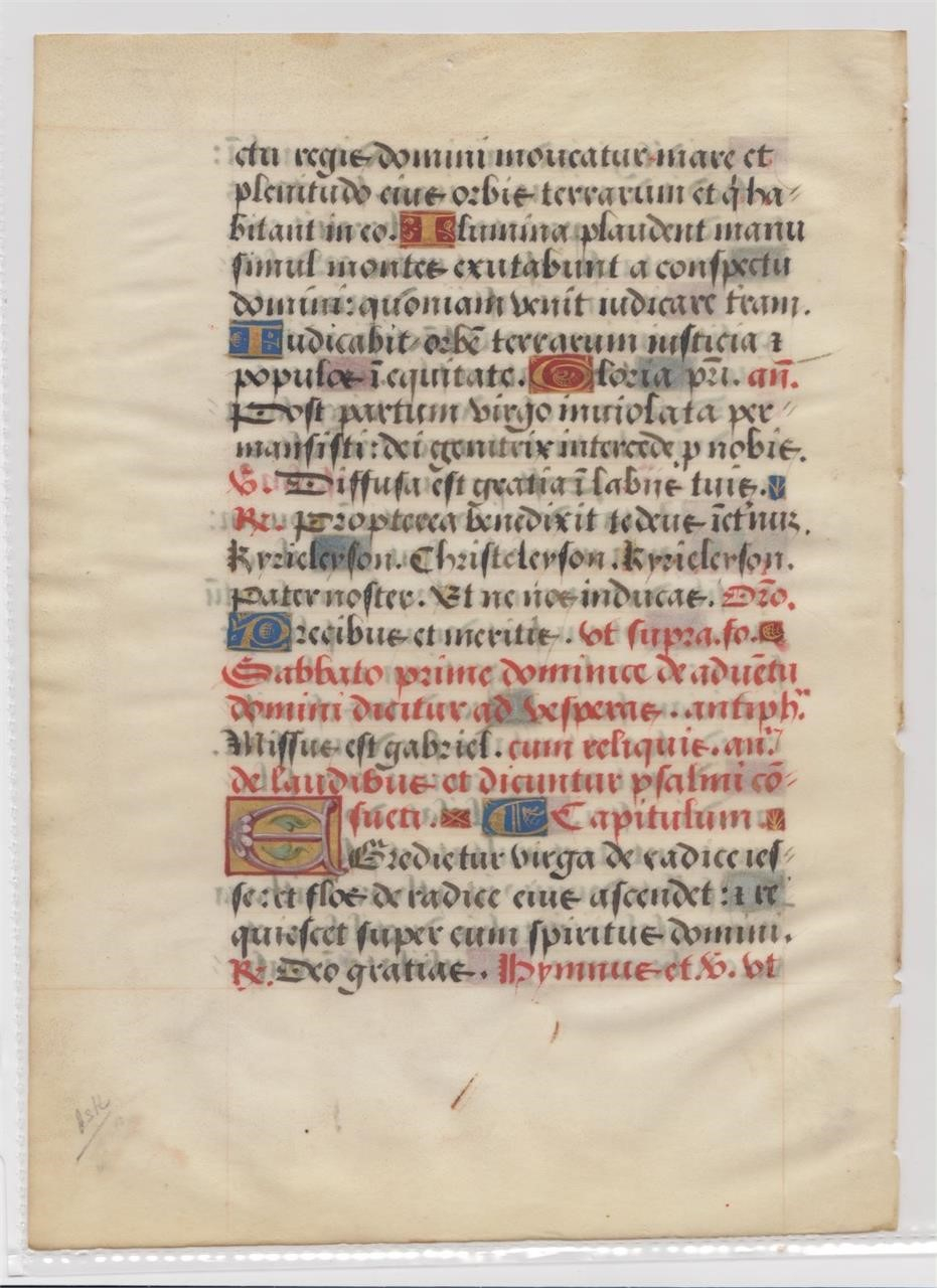 Illuminated Manuscripts